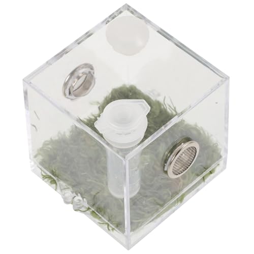 ORFOFE Transparente Leichte Sprungspinnen Aufzuchtbox aus Sicherem Praktisches Terrarium für Kleine Reptilien und Insekten Wie Gottesanbeterin Grillen Schnecken Kompakt Belüftet zur von ORFOFE