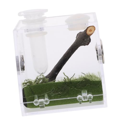 ORFOFE Transparente Springspinne Terrarium Box aus Robustem Acryl Leichte Futter Beobachtungsbox für Kleine Reptilien und Insekten Ausbruchsichere Haltung für Vogelspinnen und Geckos ORFOFE Transparente Springspinne Terrarium Box aus Robustem Acryl Leichte Futter Beobachtungsbox für Kleine Reptilien und Insekten Ausbruchsichere Haltung für Vogelspinnen und Geckos von ORFOFE