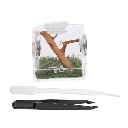 ORFOFE Transparente Zuchtbox mit Belüftung für Kleine Haustiere Wie Springspinnen und Insekten Stabile Futter und Transportbox für Sichere Beobachtung und Artgerechte Haltung ORFOFE Transparente Zuchtbox mit Belüftung für Kleine Haustiere Wie Springspinnen und Insekten Stabile Futter und Transportbox für Sichere Beobachtung und Artgerechte Haltung von ORFOFE