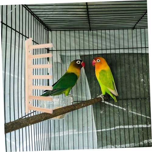ORFOFE Vogelkäfig Holzleiter Papageienstange aus Robustem Holz für Wellensittiche Kletterspielzeug als Sitzstange und Trainingsleiter für Vögel Langlebig und Praktisch ORFOFE Vogelkäfig Holzleiter Papageienstange aus Robustem Holz für Wellensittiche Kletterspielzeug als Sitzstange und Trainingsleiter für Vögel Langlebig und Praktisch von ORFOFE