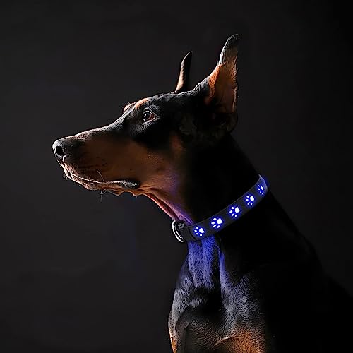 ORIA Leuchthalsband Hund, LED Leuchthalsband für Hund USB Aufladbar, Verstellbare Hunde Halsbänder, 3 Licht Modus, Leuchtet im Dunkeln, für Hunde Katzen - Blau/M (15,7" - 19,7") von ORIA