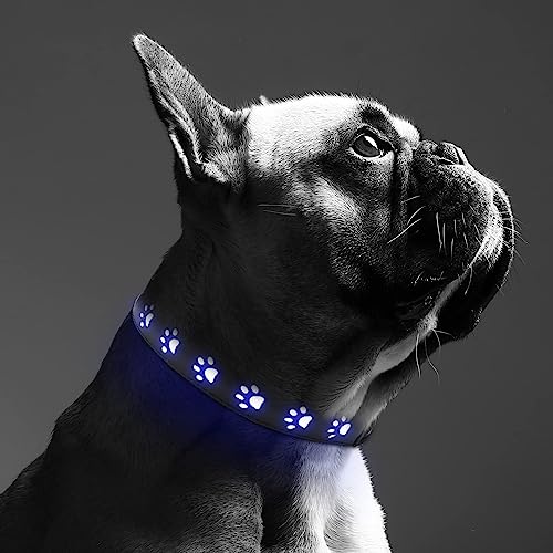 ORIA Leuchthalsband Hund, LED Leuchthalsband für Hund USB Aufladbar, Verstellbare Hunde Halsbänder, 3 Licht Modus, Leuchtet im Dunkeln, für Hunde Katzen - Blau/S (11,8" - 15,7") von ORIA