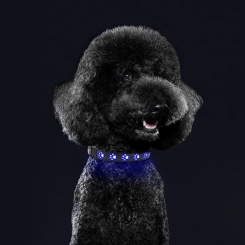 ORIA Leuchthalsband Hund, LED Leuchthalsband für Hund USB Aufladbar, Verstellbare Hunde Halsbänder, 3 Licht Modus, Leuchtet im Dunkeln, für Hunde Katzen - Blau/XS (7,87" - 11,8") von ORIA