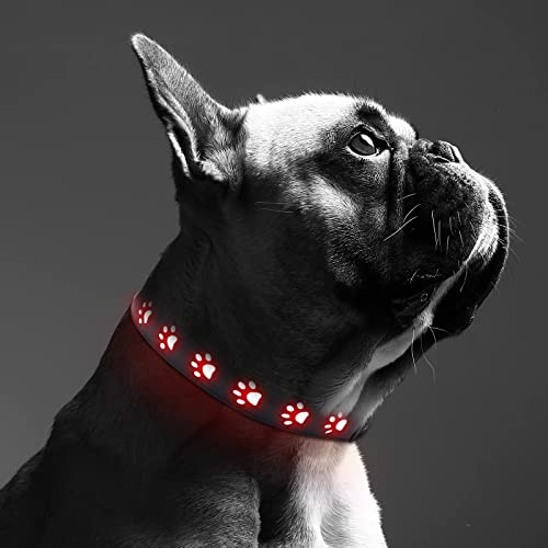 ORIA Leuchthalsband Hund, LED Leuchthalsband für Hund USB Aufladbar, Verstellbare Hunde Halsbänder, 3 Licht Modus, Leuchtet im Dunkeln, für Hunde Katzen - Rot/S (11,8" - 15,7") von ORIA