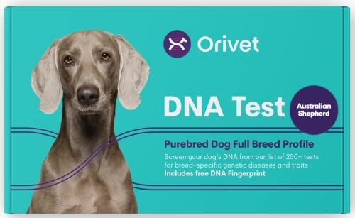 ORIVET Australian Shepherd Full Breed Profile Dog DNA Test Kit umfassender Gesundheits- und Trait-Bildschirm von ORIVET