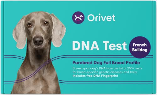 ORIVET Dog DNA Test Kit – Französische Bulldogge Vollrassenprofil | Welpentests gegen 280 medizinische Gesundheitsrisiken & Eigenschaften | Genetischer Fingerabdruck & Wellnessplan von ORIVET