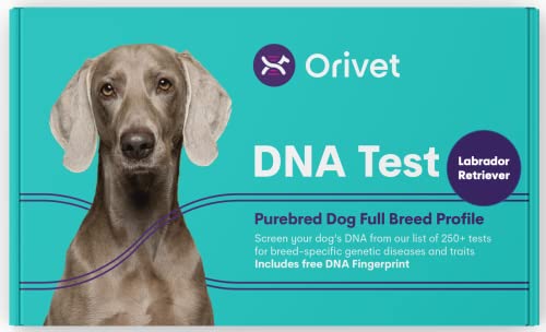 ORIVET Labrador Retriever Full Breed Profile Dog DNA Test Kit umfassender Gesundheits- und Trait-Bildschirm von ORIVET