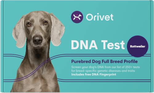 ORIVET Rottweiler Full Breed Profile Dog DNA Test Kit Umfassende Gesundheits- und Merkmalsuntersuchung von ORIVET