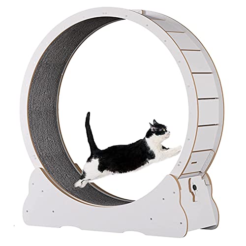 Cat Wheel Exerciser, Katzenlaufrad mit No-Gap-Design, sicheres, geräuschloses Katzenlaufband mit Einklemmschutz und integriertem Rad, hilft Katzen beim Abnehmen,White-M von ORJDWJ
