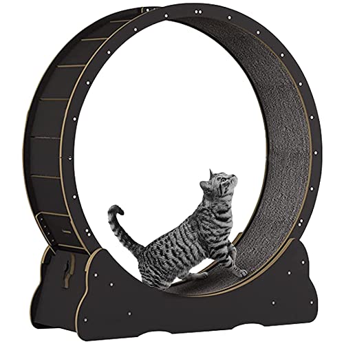 Großes Katzen-Übungsrad, Katzenlaufrad für Hauskatzen, Katzenlaufband mit Teppichboden und leisen und geräuschlosen Rollen, für eine längere Lebensdauer,Black-XL von ORJDWJ