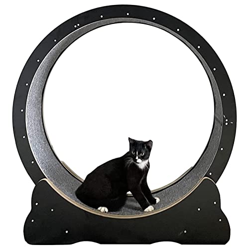 Großes Katzen-Übungsrad mit No-Gap-Design, Katzenlaufband, Katzenlaufrad, geräuschlose Bewegung, Katzen-Gewichtsverlustgerät, Aktivitätsspielzeug, interaktive Gewichtskontroll von ORJDWJ