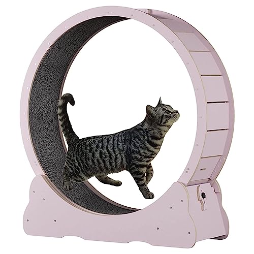 Katzen-Laufrad für Hauskatzen, einfach zu montierendes Katzen-Laufband mit Verriegelung, Sicherheits-Einklemmschutz, geräuschlos, große Katzen-Laufräder für gesunde Katzen, P von ORJDWJ