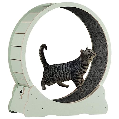 Katzen-Laufrad für Hauskatzen, einfach zu montierendes Katzen-Laufband mit Verriegelung, Sicherheits-Einklemmschutz, geräuschlos, große Katzen-Laufräder für gesunde Katzen,Gr von ORJDWJ