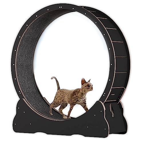 Katzenlaufband mit No-Gap-Design, Trainingsrad für Hauskatzen, sicheres, geräuschloses Laufrad mit Einklemmschutz, Gerät zum Abnehmen für Katzen mit Feststellvorrichtung,Blac von ORJDWJ