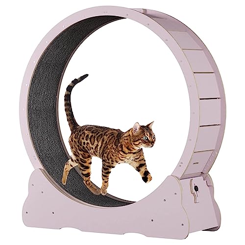Katzenlaufrad mit integriertem Katzenkratzer, Katzenlaufrad für Hauskatzen, Katzenlaufband mit Bremsstopp, Gewichtsverlust-Katzenlaufrad für die Gesundheit von Katzen,Pink-L von ORJDWJ