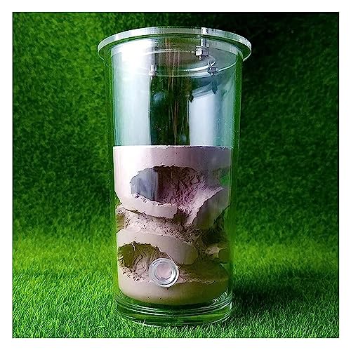 Ameisenzuchtnest, Ameisenfarm aus natürlichem Sand, becherförmige Ameisenfarm und Ameisennestbecher aus Gips, Haustierhaus, Reptilien-Terrarium, Insektenzubehör (Farbe: Rosa 67 x 130 mm) (Farbe: Braun von ORLOVA