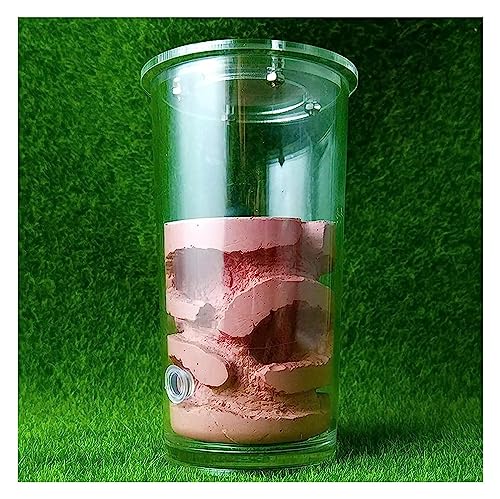 Ameisenzuchtnest, Ameisenfarm aus natürlichem Sand, becherförmige Ameisenfarm und Ameisennestbecher aus Gips, Haustierhaus, Reptilien-Terrarium, Insektenzubehör (Farbe: Rosa 67 x 130 mm) (Farbe: Braun von ORLOVA