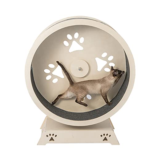 Katzenlaufrad, Katzenlaufband, Haustierlaufband für kleine/mittlere Haustierübungen im Innenbereich, mit leisem Lager und Faserplattenschiene, schön und langlebig Katzenlaufrad, Katzenlaufband, Haustierlaufband für kleine/mittlere Haustierübungen im Innenbereich, mit leisem Lager und Faserplattenschiene, schön und langlebig von ORYFWJ