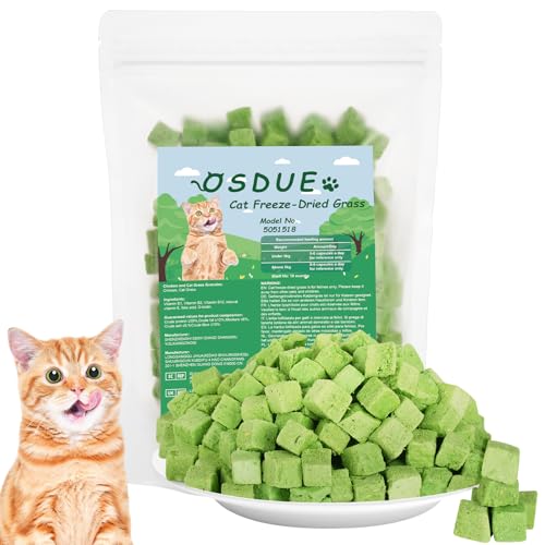 OSDUE 100g Katzengras Snack, Katzengras Sticks Gefriergetrocknet Snacks für Katzen, Katzenminze, Beißstab aus katzengras, für die Zahnpflege und Haarknäuel Entfernen OSDUE 100g Katzengras Snack, Katzengras Sticks Gefriergetrocknet Snacks für Katzen, Katzenminze, Beißstab aus katzengras, für die Zahnpflege und Haarknäuel Entfernen von OSDUE