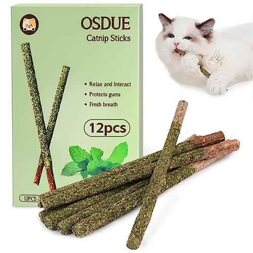 OSDUE 12 Stück Katzenminze Sticks, Matatabi-Kausticks, Katzenminze Spielzeug Katzen Kauhölzer Sticks für Katzen Zahnpflege & Gegen Mundgeruch Natürlich Sicher Katzensticks Kausticks Set von OSDUE