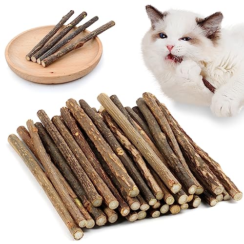 OSDUE 32 Stück Katzenminze Sticks, Matatabi-Kausticks, Katzenminze Spielzeug Katzen Kauhölzer Sticks für Katzen Zahnpflege & Gegen Mundgeruch Natürlich Sicher Katzensticks Kausticks Set OSDUE 32 Stück Katzenminze Sticks, Matatabi-Kausticks, Katzenminze Spielzeug Katzen Kauhölzer Sticks für Katzen Zahnpflege & Gegen Mundgeruch Natürlich Sicher Katzensticks Kausticks Set von OSDUE
