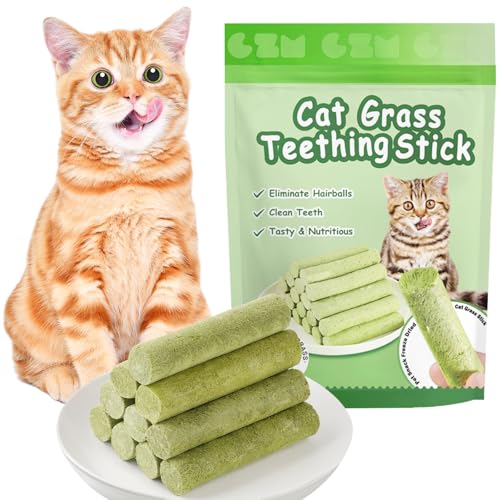 OSDUE 6 Stück Katzengras Snack, Cat Grass Teething Stick, Katzengras Sticks Gefriergetrocknet Snacks für Katzen, Katzenminze, Beißstab aus katzengras, für die Zahnpflege und Haarknäuel Entfernen OSDUE 6 Stück Katzengras Snack, Cat Grass Teething Stick, Katzengras Sticks Gefriergetrocknet Snacks für Katzen, Katzenminze, Beißstab aus katzengras, für die Zahnpflege und Haarknäuel Entfernen von OSDUE