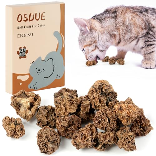 OSDUE Matatabi Früchte, 20 Stück Katzen Früchte Spielzeug Natürliches Katzenspielzeug Kausnacks Zur Zahnreinigung Hartes Kauspielzeug Aufmuntern OSDUE Matatabi Früchte, 20 Stück Katzen Früchte Spielzeug Natürliches Katzenspielzeug Kausnacks Zur Zahnreinigung Hartes Kauspielzeug Aufmuntern von OSDUE