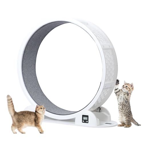 OSKOPWRC Katzen-Trainingsrad, 111,8 cm große Katzenräder für Indoor-Katzen, vielseitiges Katzen-Laufrad Laufband mit leiser Laufstrecke für Gewichtsverlust und Gesundheit der Katze, Weiß OSKOPWRC Katzen-Trainingsrad, 111,8 cm große Katzenräder für Indoor-Katzen, vielseitiges Katzen-Laufrad Laufband mit leiser Laufstrecke für Gewichtsverlust und Gesundheit der Katze, Weiß von OSKOPWRC