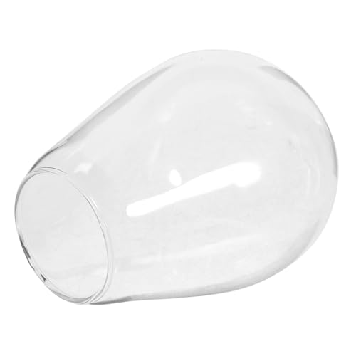 OSOLADY Glasvase schlafzimmerdeko küchentheke glasflaschen terraristik Flaschengartenterrarium Mikro Pflanzen einfache Flasche Moos ökologische Flasche Glas mit hohem Borosilikatgehalt OSOLADY Glasvase schlafzimmerdeko küchentheke glasflaschen terraristik Flaschengartenterrarium Mikro Pflanzen einfache Flasche Moos ökologische Flasche Glas mit hohem Borosilikatgehalt von OSOLADY