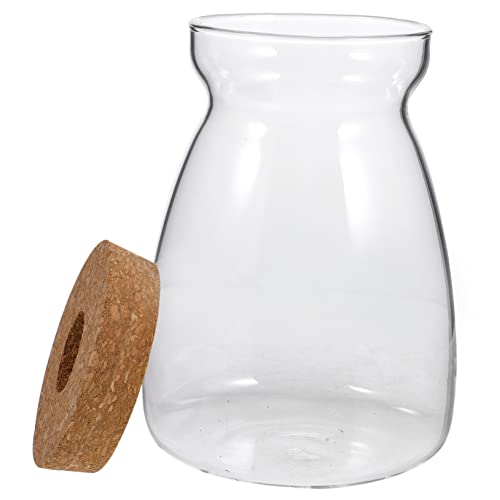 OSOLADY Terrarium für Hydroponische Pflanzen Großer Behälter mit Deckel für Mikrolandschaften Dekorativ für Schlafzimmer Wohnzimmer und Büro mit Praktischem im Deckel OSOLADY Terrarium für Hydroponische Pflanzen Großer Behälter mit Deckel für Mikrolandschaften Dekorativ für Schlafzimmer Wohnzimmer und Büro mit Praktischem im Deckel von OSOLADY