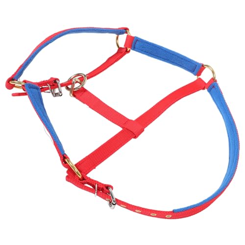 OSOLADY Zaum pferdezubehör Zubehör Halfterring für Pferde Pferdeversorgung Panzerkette für Pferdegebisse Pferdeschützer Sicherheitshalfter Halfter für Geflochtenes PP-Band rot OSOLADY Zaum pferdezubehör Zubehör Halfterring für Pferde Pferdeversorgung Panzerkette für Pferdegebisse Pferdeschützer Sicherheitshalfter Halfter für Geflochtenes PP-Band rot von OSOLADY