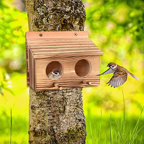 Vogelhaus mit 2 Löchern kreative hängende Vogelhaus Holzgarten Bird House Zimmer handgefertigt C Hanging Outdoor Vogel, der stabil für Vogelliebhaber nistet von OSPALEM