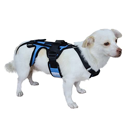 Hunde-Rückenbandage für Hunde, Hüftbandage Unterstützung für Haustier, Rückenstütze für Hunde mit IVDD, Chirurgie Genesung und Rehabilitation, Revention von Hunden Rückenkrankheiten (XL) von OShuKang