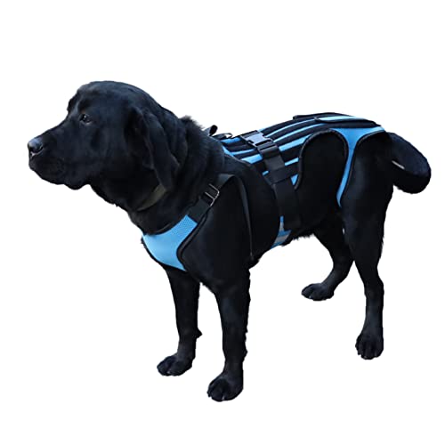 Hunde-Rückenstütze für Hunde, Hüftbandage für Haustiere, Rückenstütze für Hunde mit IVDD, chirurgische Genesung und Rehabilitation, Revention von Hunderückenerkrankungen (XXL) von OShuKang