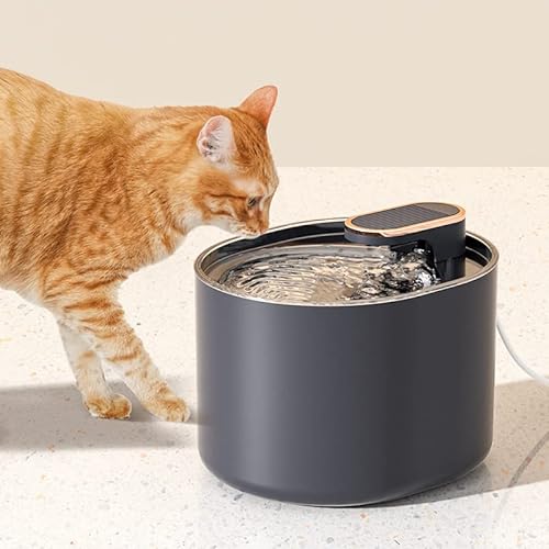 100oz/3L Edelstahl Haustier Brunnen, Automatischer Katze Wasserbrunnen Hund Wasserspender mit Smart Pumpe für Katzen, Hunde, Mehrere Haustiere von OTCPP