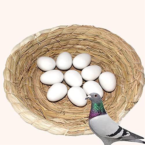 OTEHOO 10 Stück Kunststoff-Eier, solide Tauben-Eier, Tauben, künstliche Eier, beruhigen die Emotionen der Tauben von OTEHOO