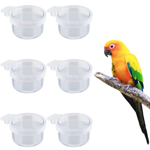 Futterspender für Vögel, abnehmbar, transparent, für Käfig, Wellensittiche, Samen, Futterspender, Behälter, Becher, Käfigzubehör für Sittiche, Nymphensittiche, Finken, Lovebirds Futterspender für Vögel, abnehmbar, transparent, für Käfig, Wellensittiche, Samen, Futterspender, Behälter, Becher, Käfigzubehör für Sittiche, Nymphensittiche, Finken, Lovebirds von OTKARXUS