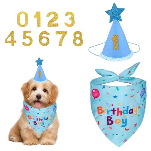 Geburtstagshut und Halstuch, niedlicher Stern-Spitzenhut, Katzenschal mit goldenen Zahlen, Haustiergeburtstagsparty-Dekoration für Haustiere, Katzen, kleine, mittelgroße Hunde (blau) von OTKARXUS