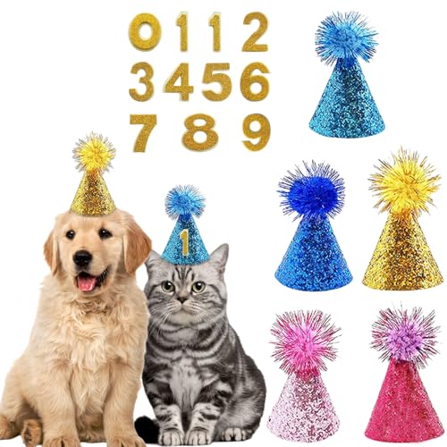 Hunde-Geburtstagshut, 5 Stück, Party-Hüte für Katzen und Hunde mit goldenen Zahlen, Mini-Hut für kleine Hunde, Geburtstagsparty-Zubehör für Urlaub, Hochzeit, Welpen, Kätzchen, Kostümzubehör (bunter Hunde-Geburtstagshut, 5 Stück, Party-Hüte für Katzen und Hunde mit goldenen Zahlen, Mini-Hut für kleine Hunde, Geburtstagsparty-Zubehör für Urlaub, Hochzeit, Welpen, Kätzchen, Kostümzubehör (bunter von OTKARXUS