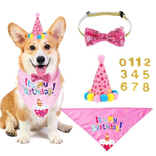 Hunde-Geburtstagsmütze, 1 Set Haustier-, Katzen-, Hunde-Party-Bandana mit niedlicher Fliege und Hut, Hunde-Geburtstagsparty-Zubehör für Kätzchen, Welpen, kleine, mittelgroße Hunde, Kostüme (rosa) von OTKARXUS