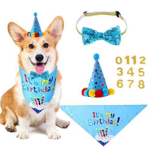 Hunde-Geburtstagsmütze, 1 Set Haustier-/Katzen-/Hunde-Party-Bandana mit niedlicher Fliege und Hut, Hunde-Geburtstagsparty-Zubehör für Kätzchen, Welpen, kleine, mittelgroße Hunde, Kostüme (blau) von OTKARXUS