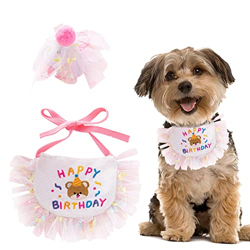 Hunde-Geburtstagsmütze und Bandana, 1 Set niedliche Haustier-Hundemütze und Schal, Katze, Geburtstagsparty-Dekoration, Haustier-Geburtstagsparty-Zubehör, Hunde-Outfit, für Katzen und Hunde (lila) Hunde-Geburtstagsmütze und Bandana, 1 Set niedliche Haustier-Hundemütze und Schal, Katze, Geburtstagsparty-Dekoration, Haustier-Geburtstagsparty-Zubehör, Hunde-Outfit, für Katzen und Hunde (lila) von OTKARXUS