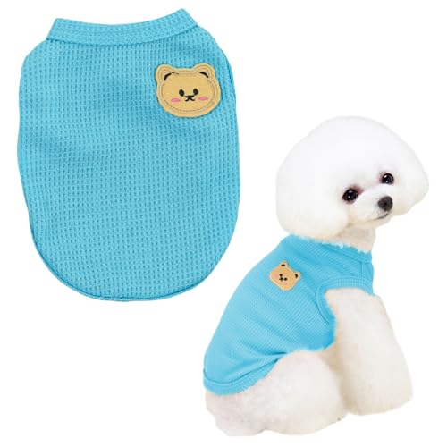 Hunde-Shirt, niedlicher Bär, Sommer-Hundekleidung, Welpen-T-Shirt, ärmellose Weste für kleine Hunde, Jungen, Mädchen, Katzen-Outfit (Blau, S) von OTKARXUS