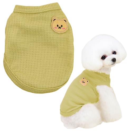 Hunde-Shirt, niedlicher Bär, Sommer-Hundekleidung, Welpen-T-Shirt, ärmellose Weste für kleine Hunde, Jungen, Mädchen, Katzen-Outfit (Grün, XL) von OTKARXUS