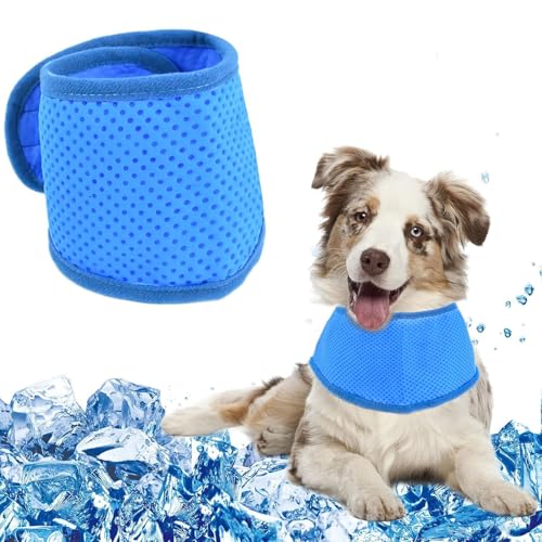 Kühlendes Hundehalstuch, 1 Stück, eisgekühltes Halsband für den Sommer, atmungsaktiv, kühlende Halsbandagen für kleine, mittelgroße Hunde, Welpen, Katzen, Outdoor-Spaziergänge, Camping, Größe M Kühlendes Hundehalstuch, 1 Stück, eisgekühltes Halsband für den Sommer, atmungsaktiv, kühlende Halsbandagen für kleine, mittelgroße Hunde, Welpen, Katzen, Outdoor-Spaziergänge, Camping, Größe M von OTKARXUS