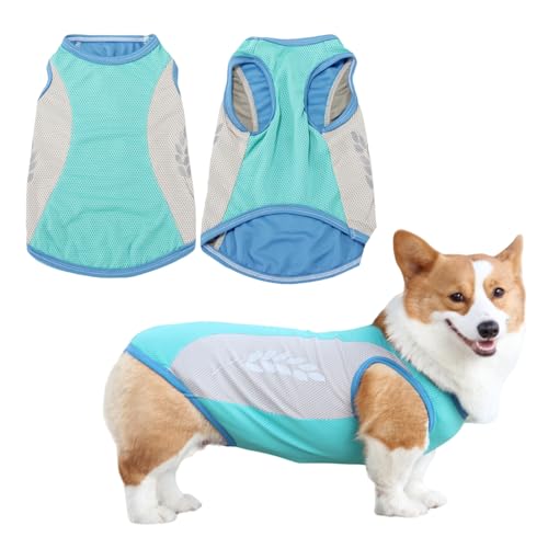 Kühlweste für Hunde, atmungsaktives Netzgewebe, mit reflektierenden Streifen, elastisches, sonnenfestes Eis-T-Shirt für kleine, mittelgroße und große Hunde, Outdoor-Aktivitäten (Grün, Größe 4XL) Kühlweste für Hunde, atmungsaktives Netzgewebe, mit reflektierenden Streifen, elastisches, sonnenfestes Eis-T-Shirt für kleine, mittelgroße und große Hunde, Outdoor-Aktivitäten (Grün, Größe 4XL) von OTKARXUS