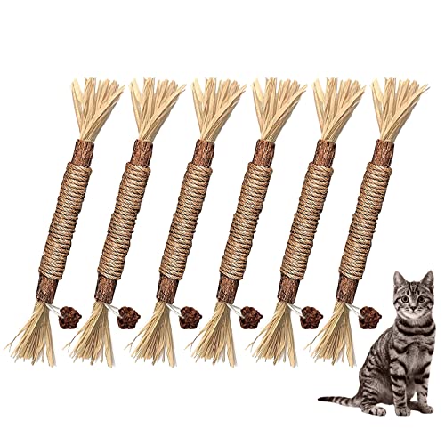 OTKARXUS Katzenspielzeug, Katzenminze, 6 Stück, natürliche Silberreben-Kaustäbe, Katzenminze, Spielzeug für Innenbereich, Katzenzähne, Reinigung von Kätzchen, Zahnen und Stressabbau OTKARXUS Katzenspielzeug, Katzenminze, 6 Stück, natürliche Silberreben-Kaustäbe, Katzenminze, Spielzeug für Innenbereich, Katzenzähne, Reinigung von Kätzchen, Zahnen und Stressabbau von OTKARXUS