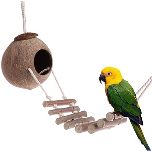 OTKARXUS Vogelnest aus natürlicher Kokosnussschale, 1 Stück Kokosnuss-Vogelhaus mit Holzleitern, langlebige Höhle, hängende Vogelschaukel für Haustiere, Papageien, Wellensittiche, Sittiche, Hamster OTKARXUS Vogelnest aus natürlicher Kokosnussschale, 1 Stück Kokosnuss-Vogelhaus mit Holzleitern, langlebige Höhle, hängende Vogelschaukel für Haustiere, Papageien, Wellensittiche, Sittiche, Hamster von OTKARXUS