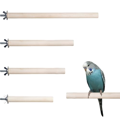 Vogelsitzstangen aus Naturholz, 4 Stück, aus Holz, für Wellensittiche, Standstange, Papageien-Sitzstange für Papageien, Wellensittiche, Nymphensittiche, Sittiche, Unzertrennliche, Käfige, Spielzeug Vogelsitzstangen aus Naturholz, 4 Stück, aus Holz, für Wellensittiche, Standstange, Papageien-Sitzstange für Papageien, Wellensittiche, Nymphensittiche, Sittiche, Unzertrennliche, Käfige, Spielzeug von OTKARXUS
