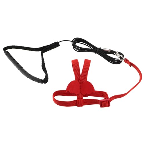 OTOTEC 1 Set 2 m Haustiergeschirr und Leine, für den Außenbereich, Vogelflug-Trainingsseil, geeignet für Alexandrine, Scharlachrot, Keck, Mini-Ara, gleiche Größe, Rot OTOTEC 1 Set 2 m Haustiergeschirr und Leine, für den Außenbereich, Vogelflug-Trainingsseil, geeignet für Alexandrine, Scharlachrot, Keck, Mini-Ara, gleiche Größe, Rot von OTOTEC